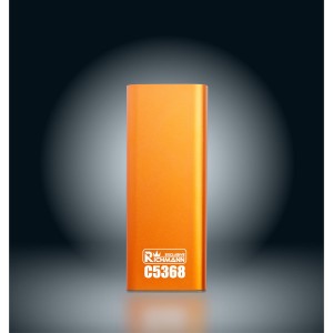 RICHMANN WKRĘTAK PRECYZYJNY Z WYMIENNYMI KOŃCÓWKAMI ZESTAW 48SZT