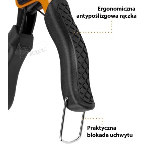 CORONA SZCZYPCE DO KOŁKÓW MOLLY PROFESJONALNE C0786