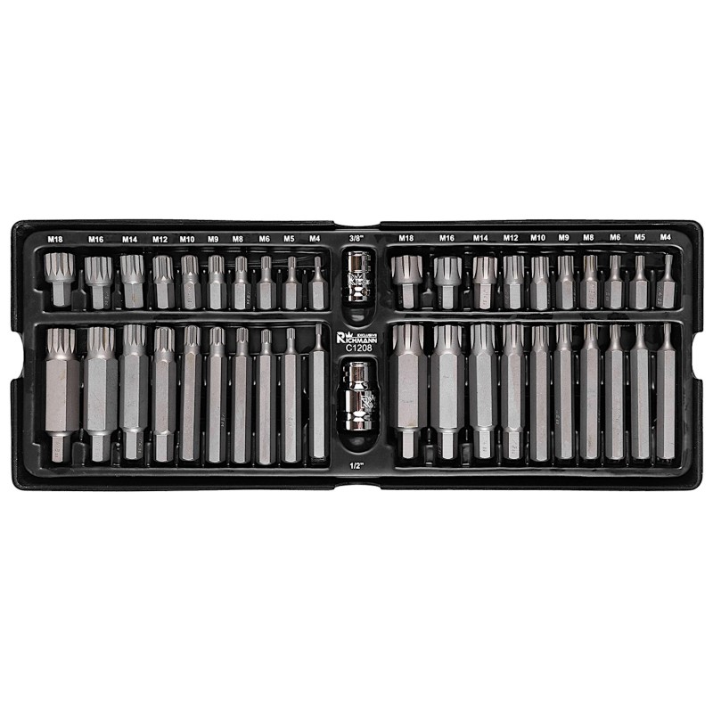 Richmann Zestaw bitów SPLINE M4-M18 i RIBE M4-M18 stal S2 42 elementy - wkład do wózka narzędziowego