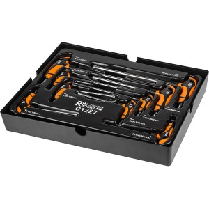 Richmann Zestaw kluczy TORX T10-T50 uchwyt T 9 elementów - wkład C1227