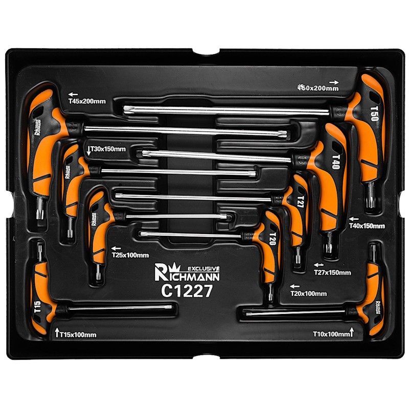Richmann Zestaw kluczy TORX T10-T50 uchwyt T 9 elementów - wkład do wózka narzędziowego