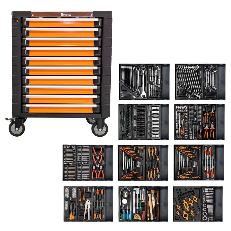 Richamnn Profesjonalny Wózek Warsztatowy z 10 Szufladami i Zestawem 386 Elementów